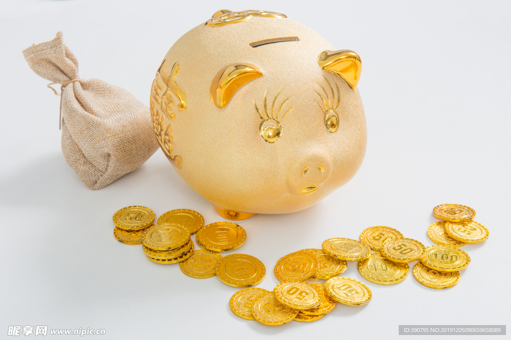 金猪存钱罐