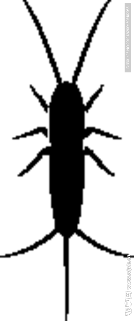 昆虫系列 蜉蝣幼虫