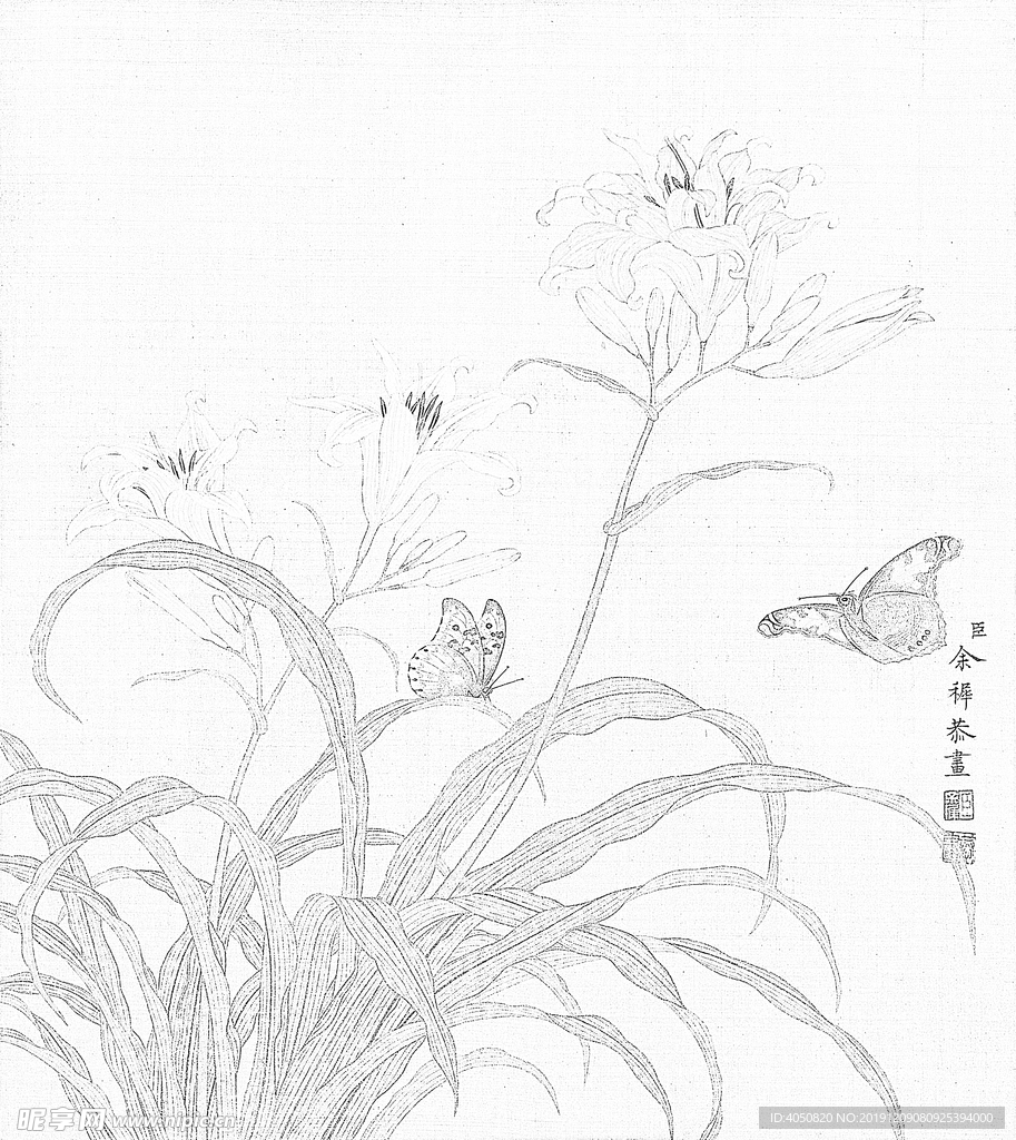 余稚的花鸟图白描工笔画02