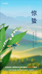 地产 惊蛰 节气海报