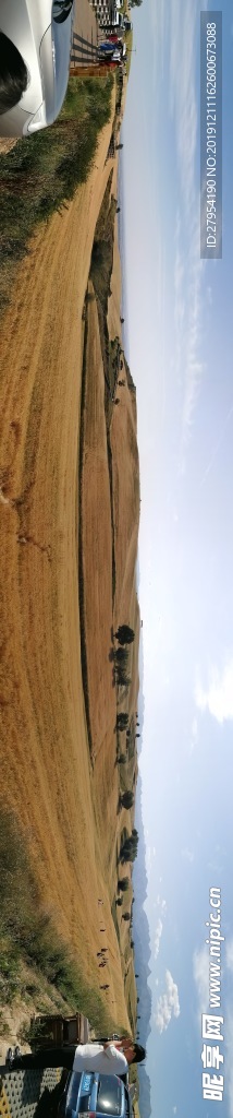 江布拉克  麦田