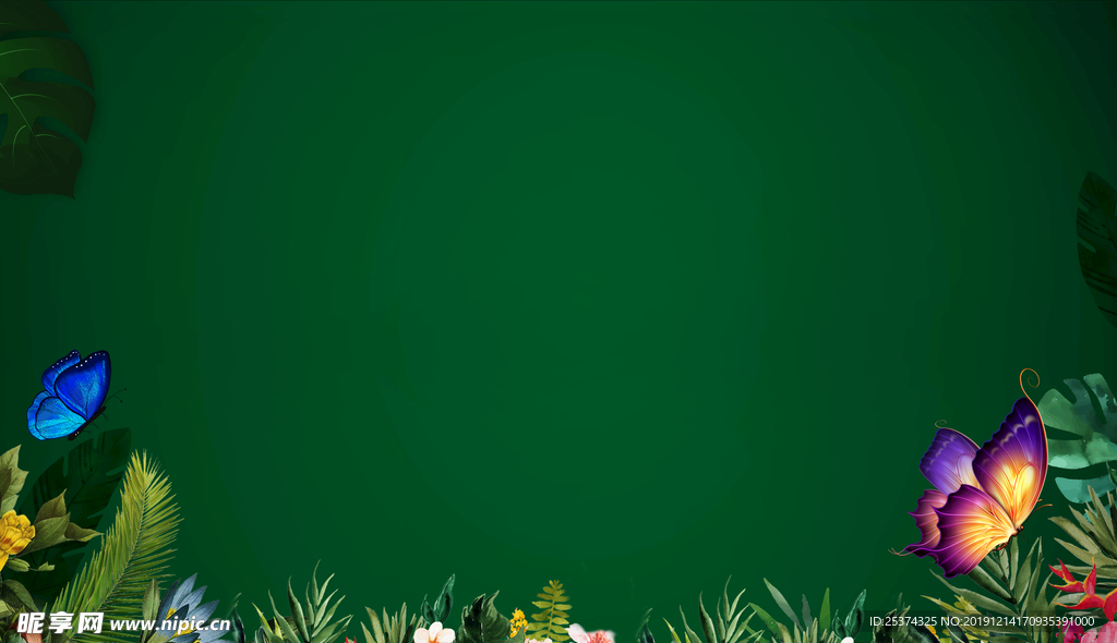 暖场 开放 素材 蝴蝶花 活动