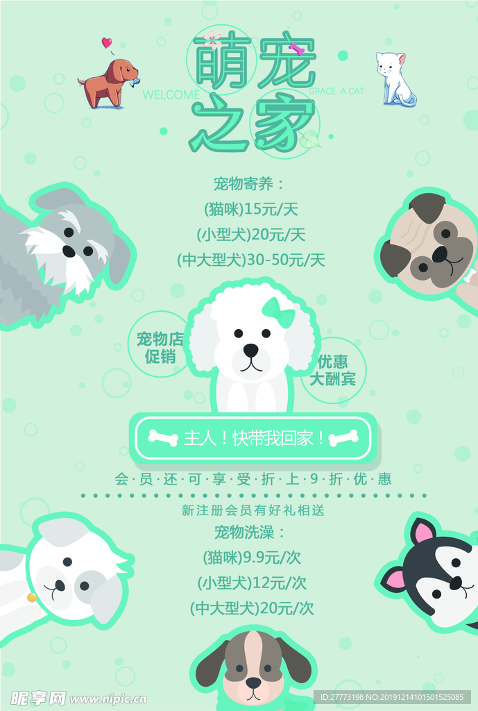 宠物海报萌宠之家