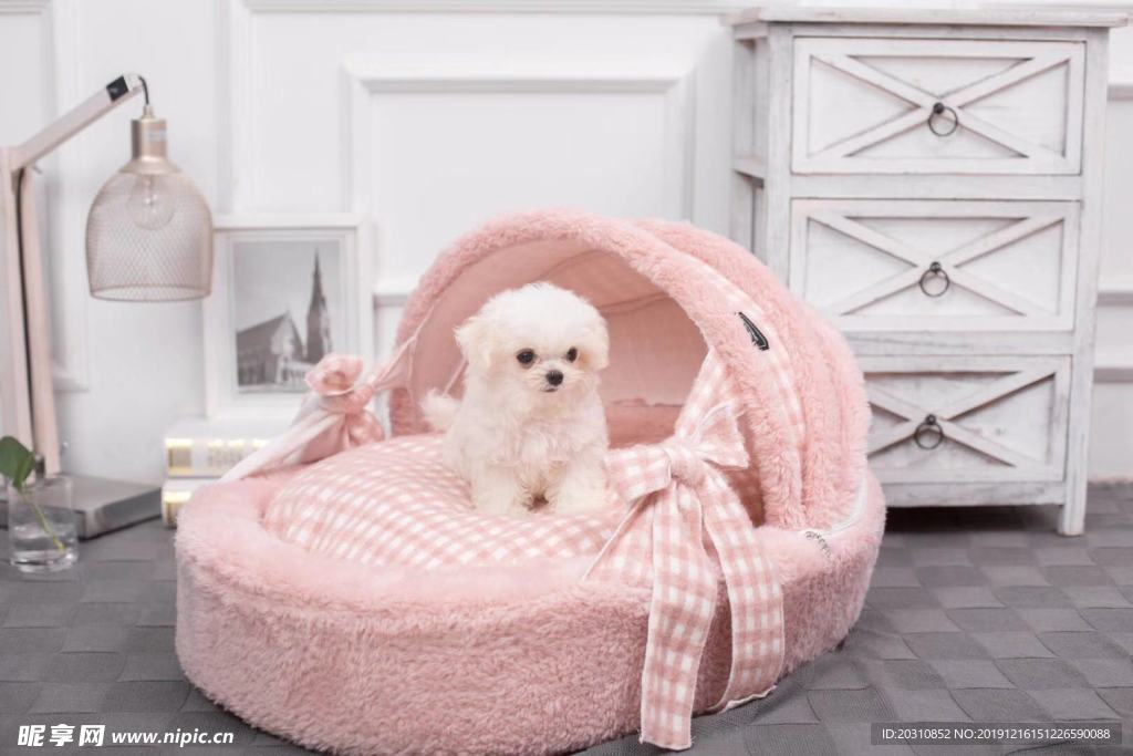 宠物画册 宠物医院 三折页 宠