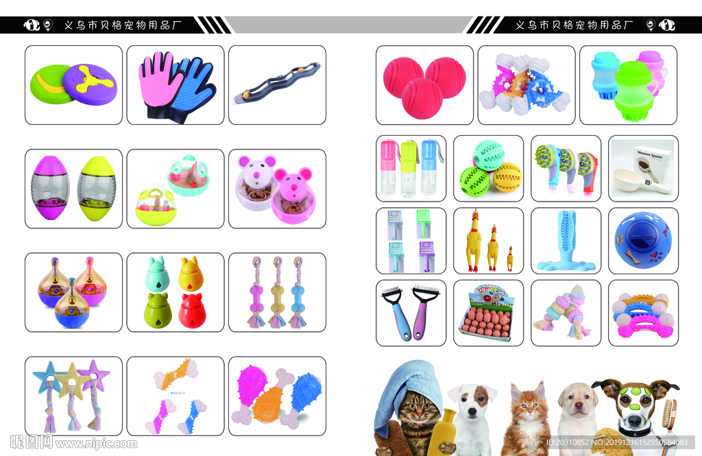 宠物 宠物店 宠物狗 宠物小狗