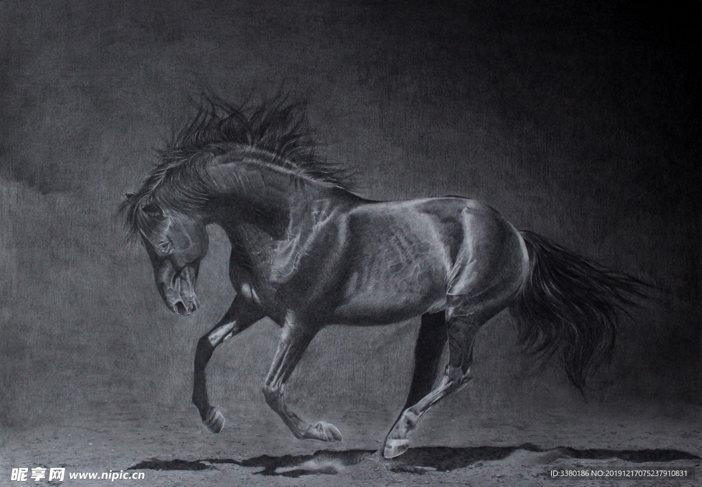 素描黑色骏马