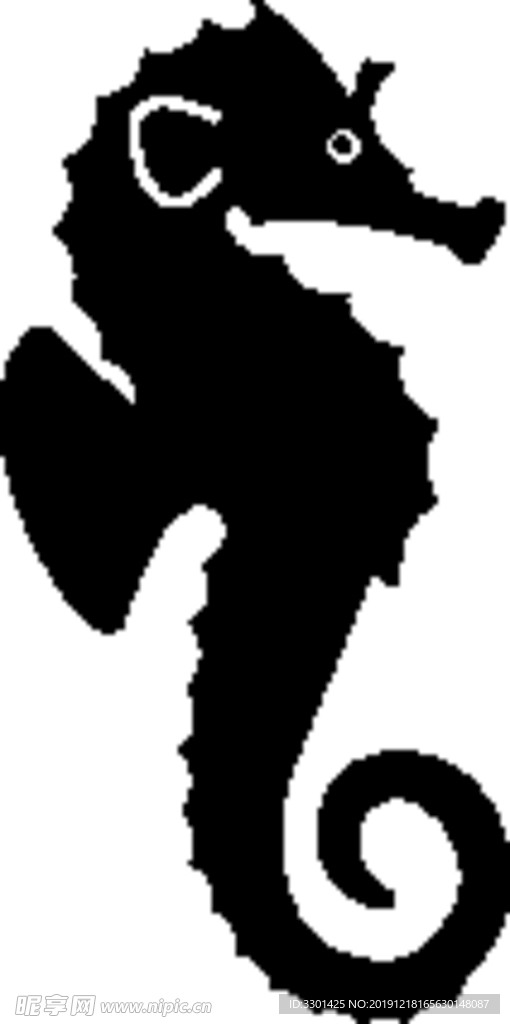 海洋生物系列 海马