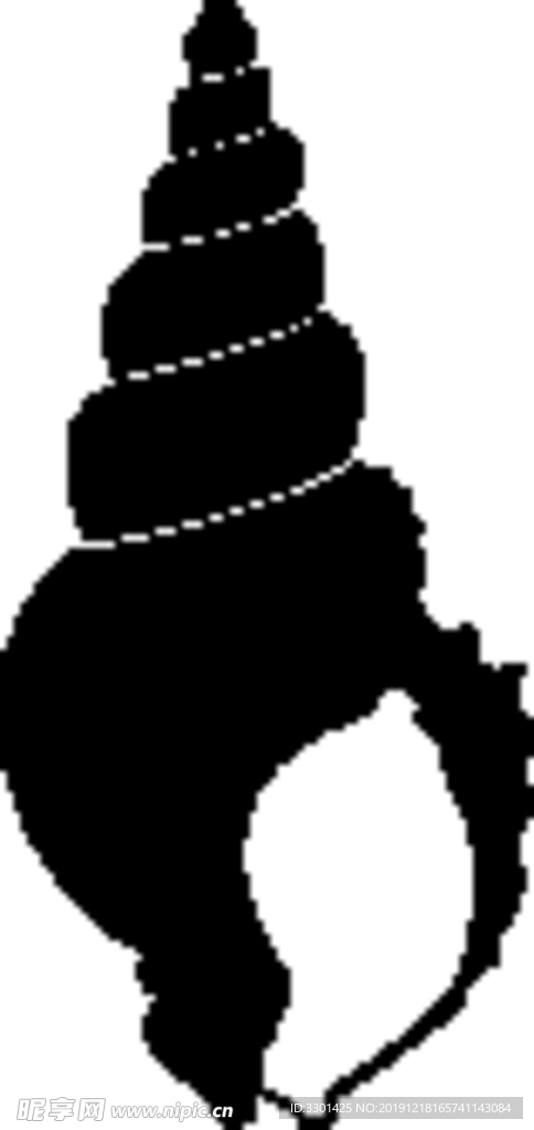 海洋生物系列 海螺