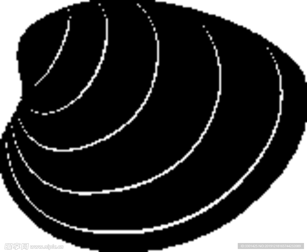 海洋生物系列 贝壳