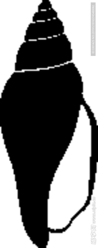 海洋生物系列 海螺