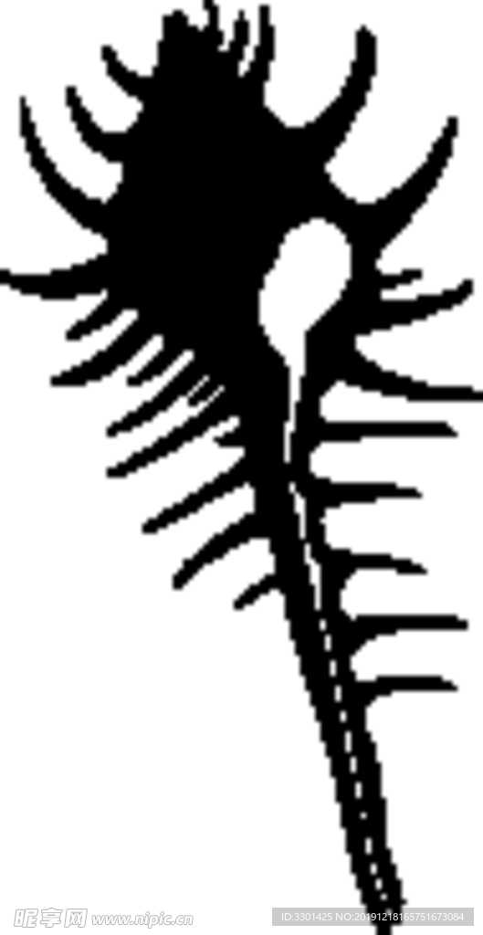 海洋生物系列 海螺