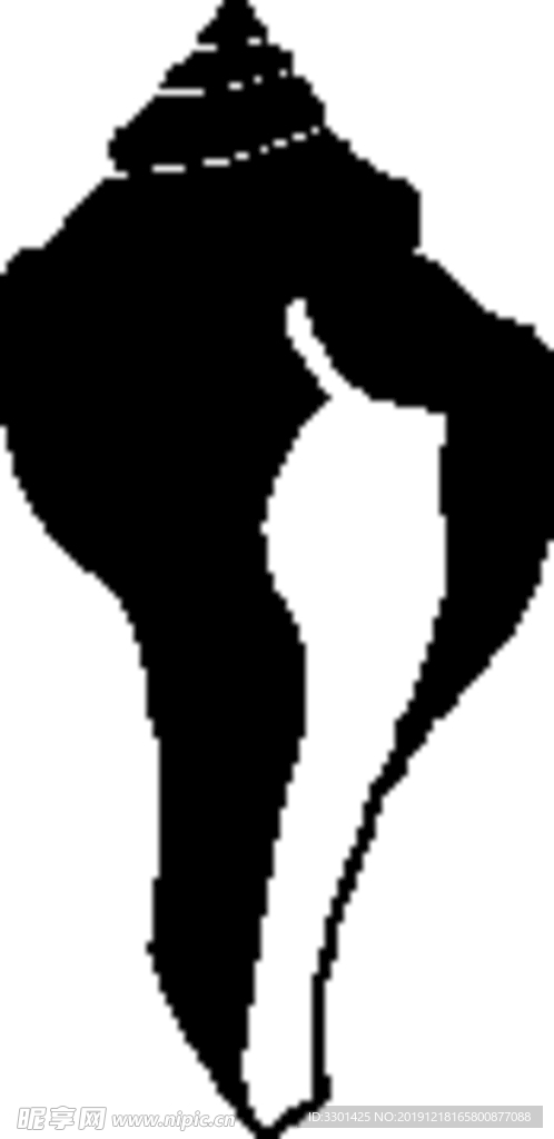 海洋生物系列 海螺