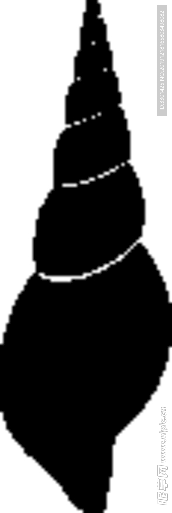 海洋生物系列 海螺