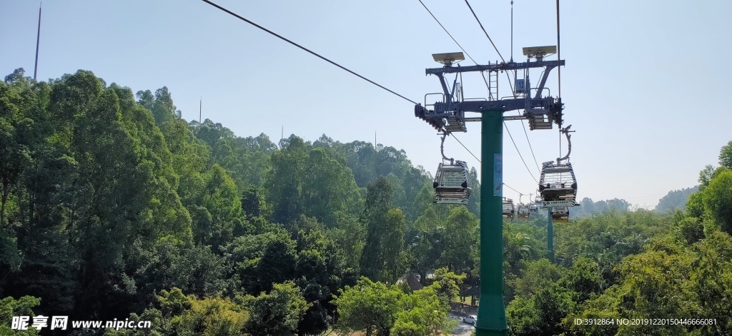 缆车 动物园 丛林 热带丛林