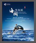 海阔凭鱼跃
