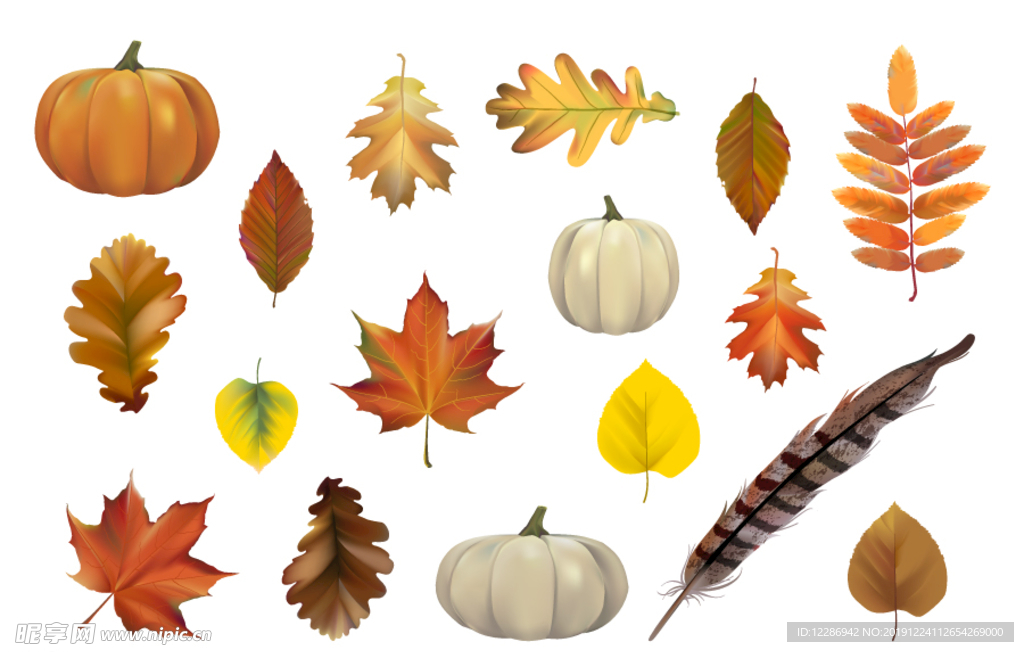 手绘植物树叶背景