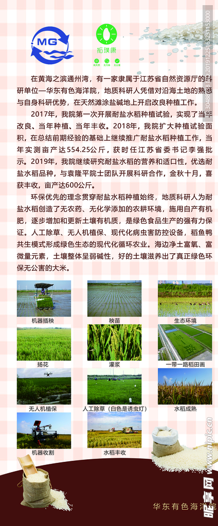 华东有色海洋院大米海报