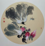 国画白菜   名家扇面