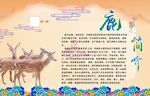 鹿 简介 介绍页