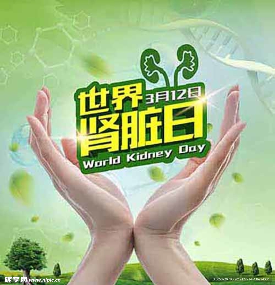 世界肾脏日