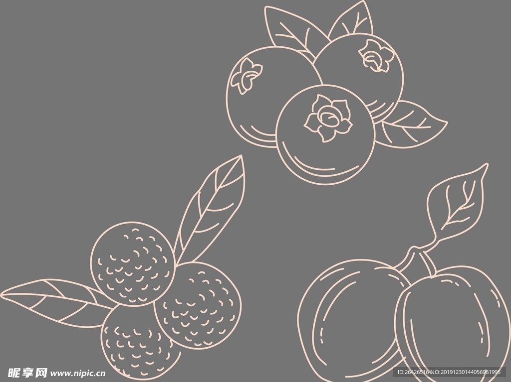 蓝莓  杨梅 青梅线稿