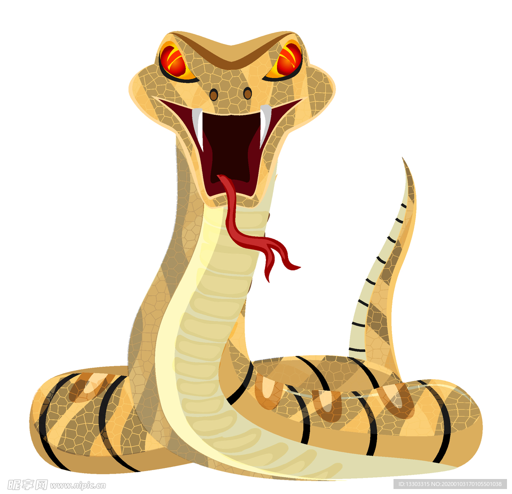 眼镜蛇矢量素材