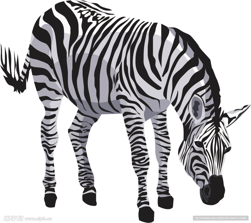 手绘动物斑马高清图