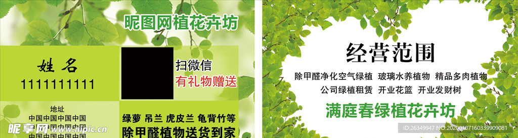 植物花卉除甲醛绿叶空气净化名片