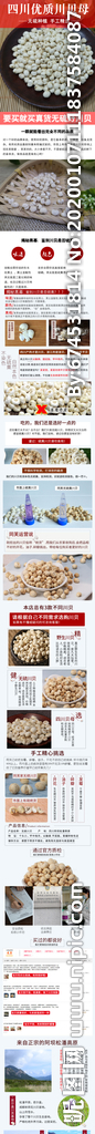 川贝母详情页