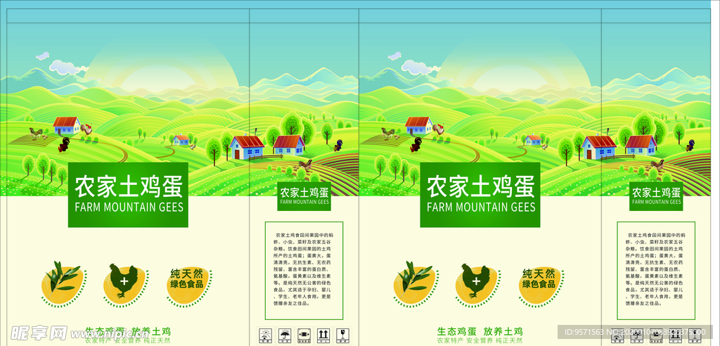 土鸡蛋包装盒