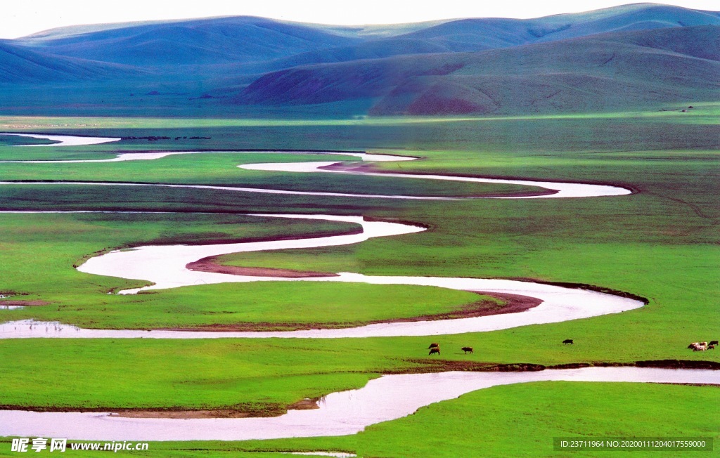 草原 草 牛羊 河 内蒙古 呼