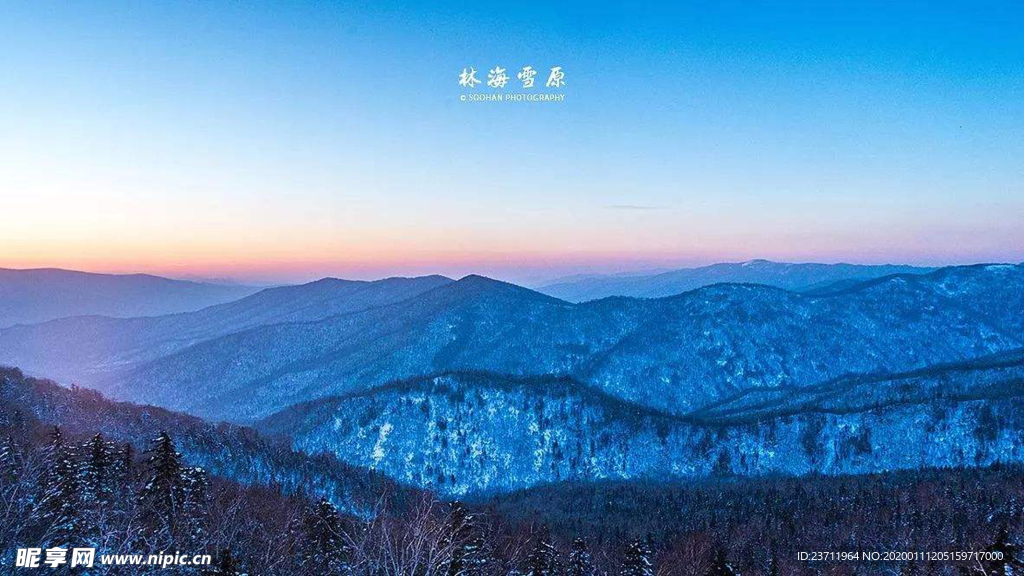 草原 林海雪原 牛羊 雪 樟子