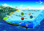 海洋分布图