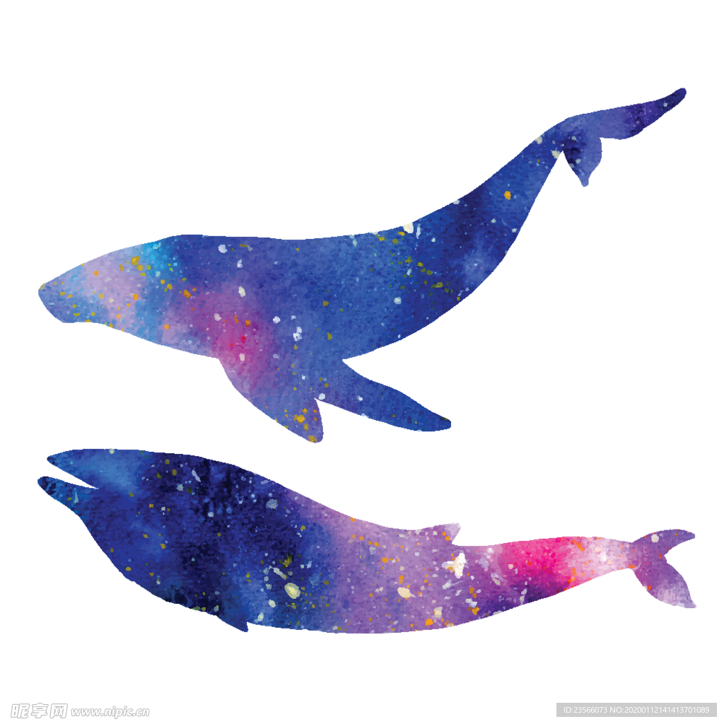 炫彩渐变鲸鱼图案