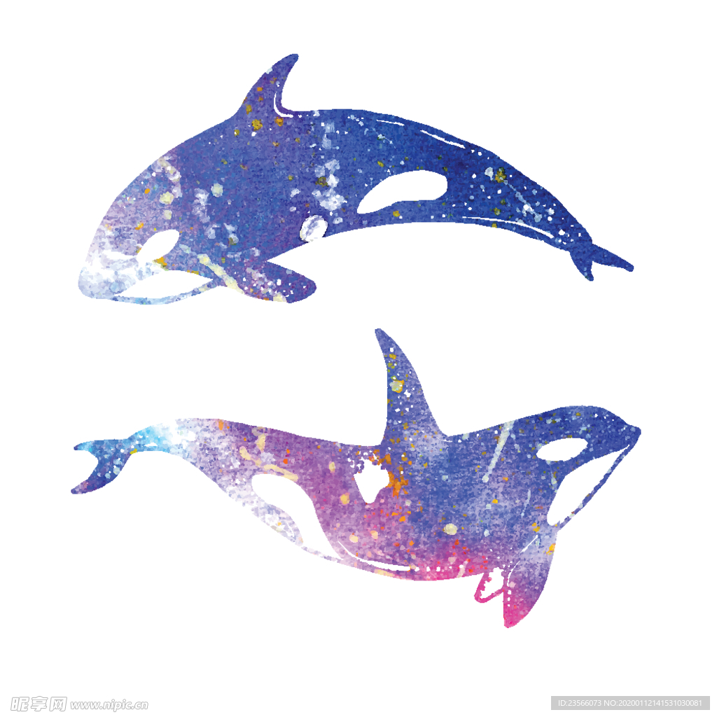 炫彩渐变鲸鱼图案