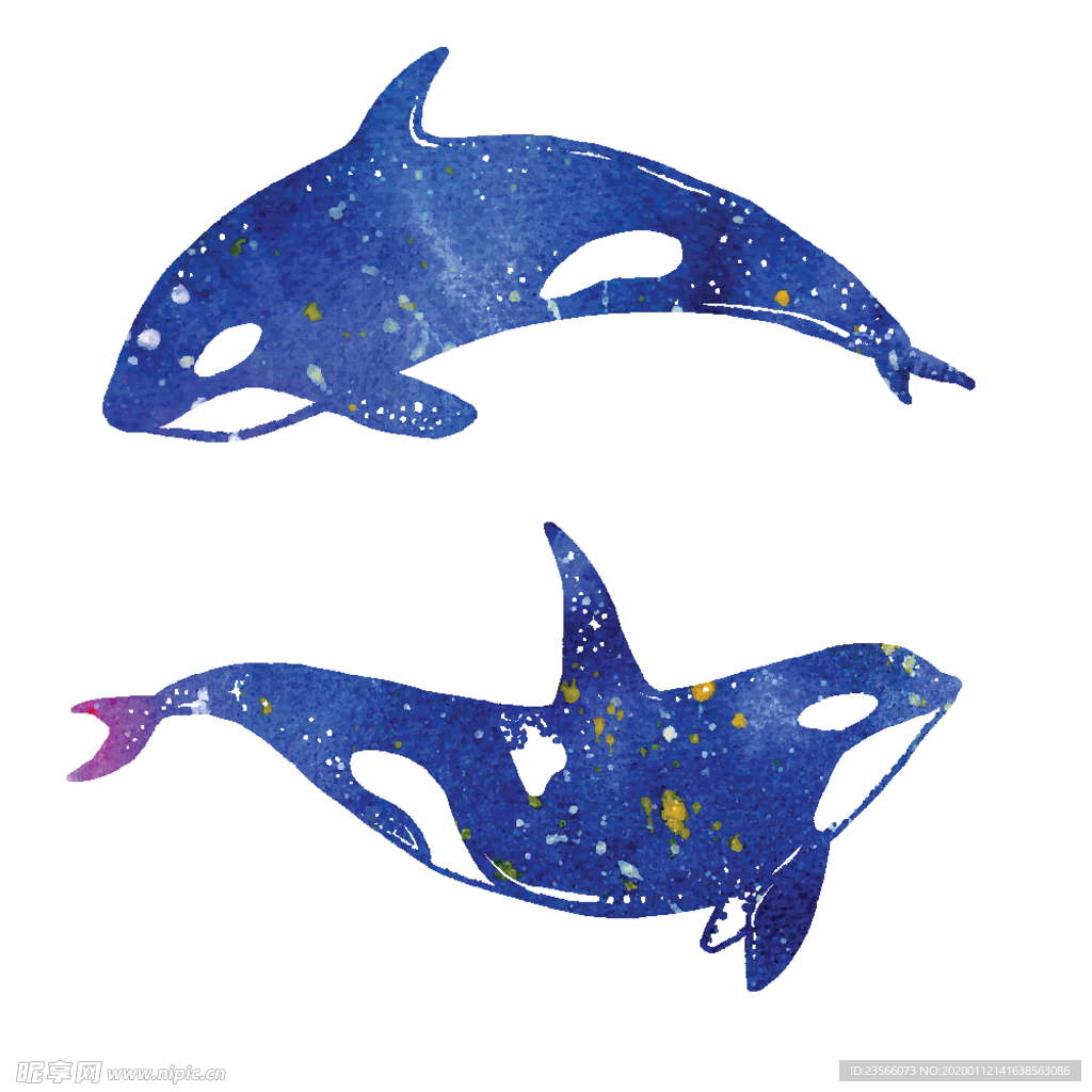 炫彩渐变鲸鱼图案