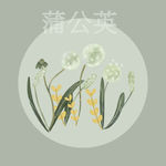 手绘蒲公英插画