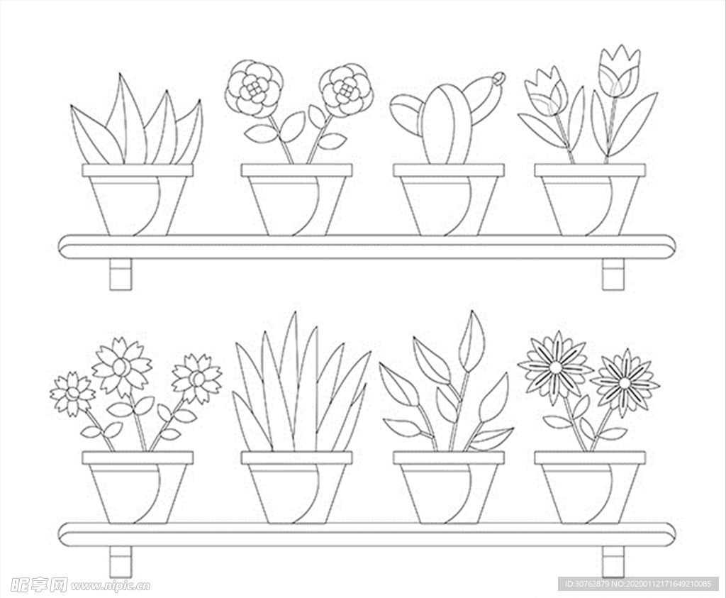 盆景植物芦荟花纹花朵印花