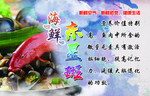 海鲜宣传  东星斑