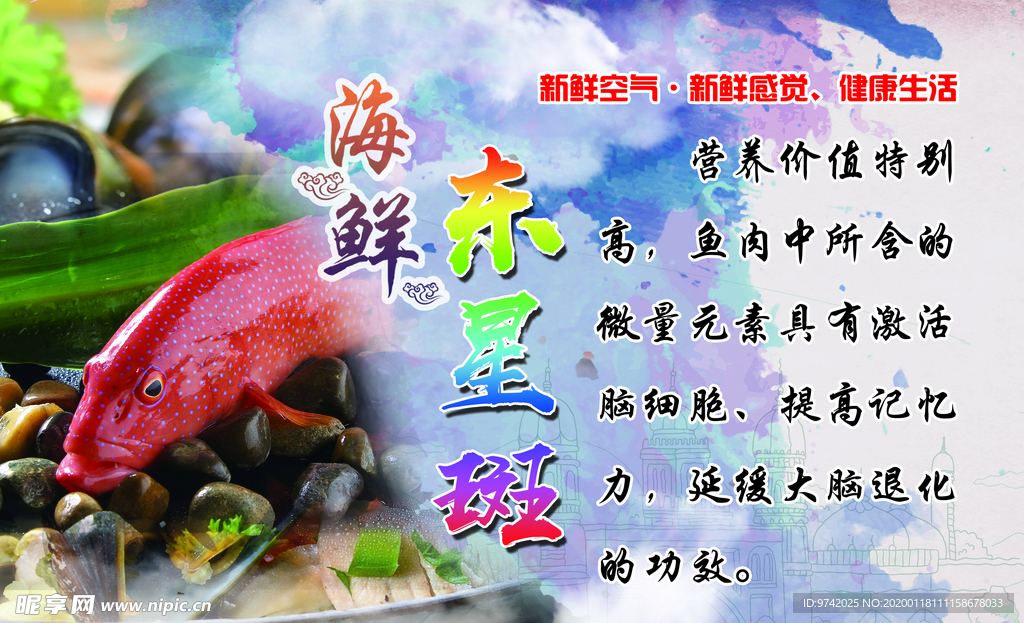 海鲜宣传  东星斑