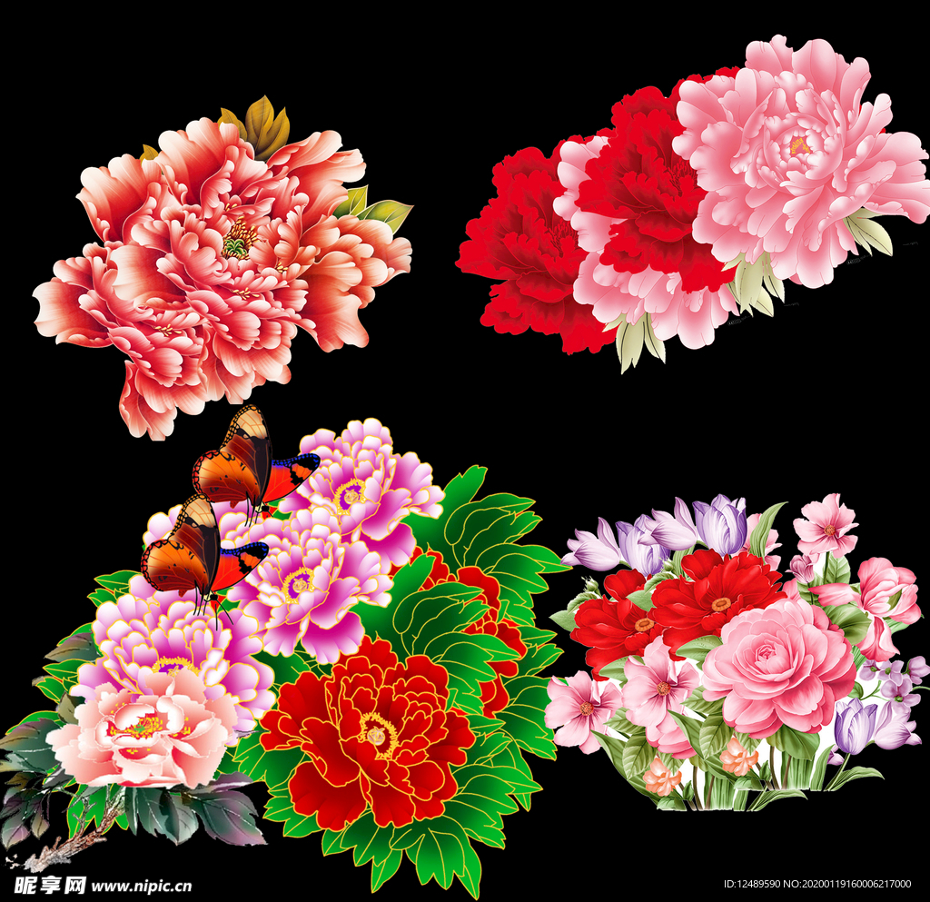 矢量牡丹花 黄色牡丹花