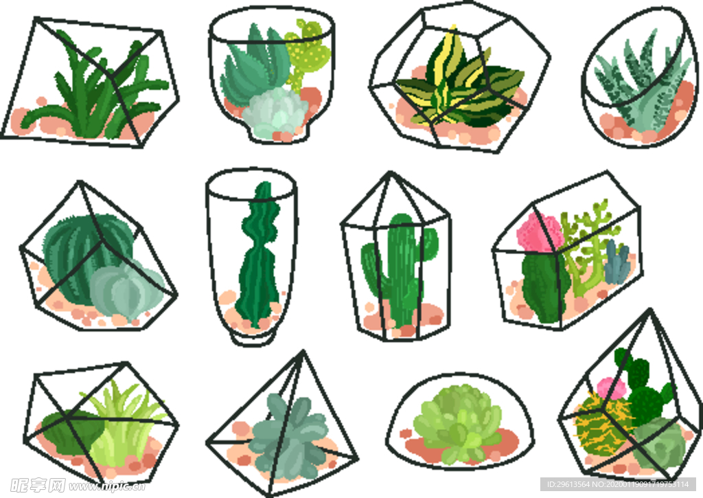 各种多肉植物插画多肉素材