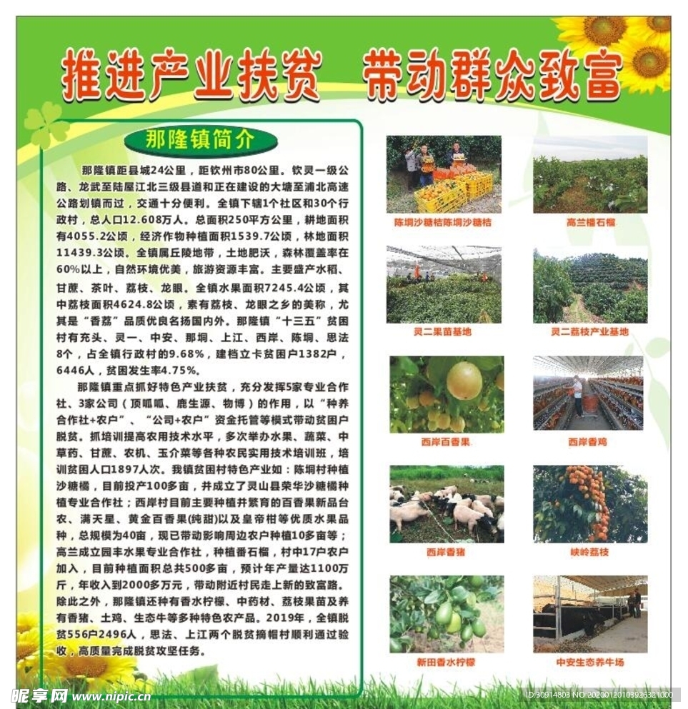 推动产业扶贫  带动群众致富