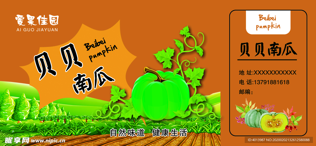 贝贝南瓜  绿色南瓜礼盒