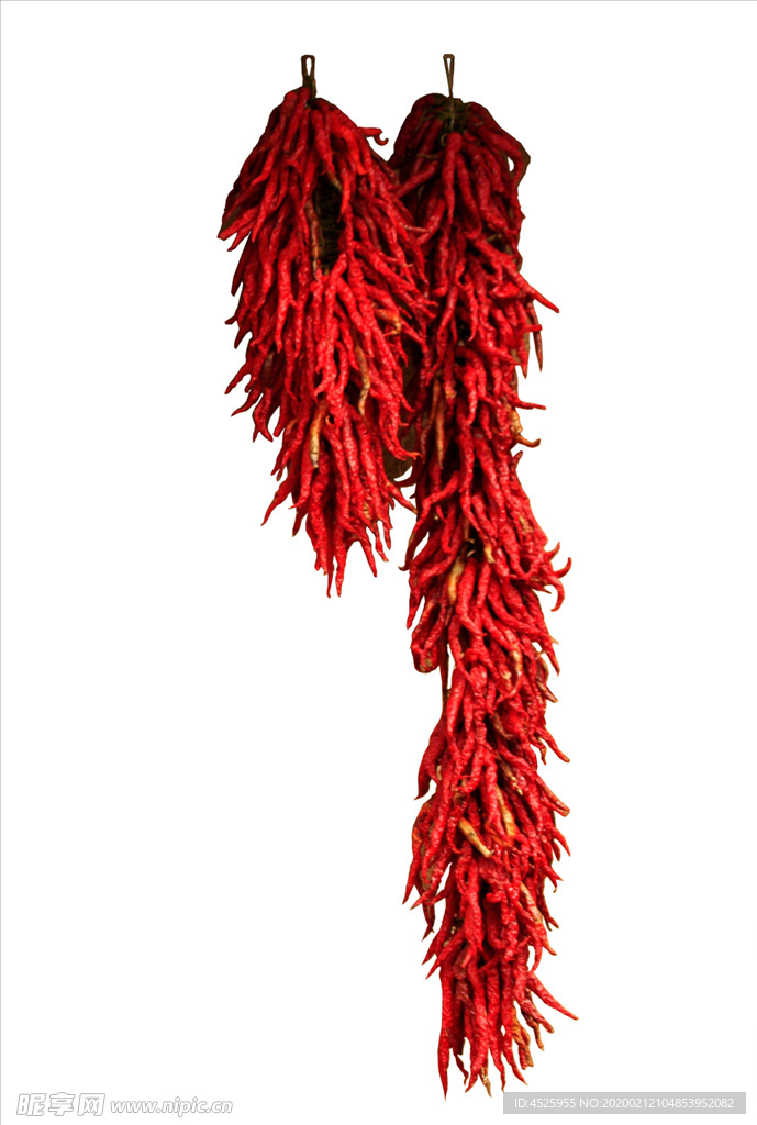 北方农村辣椒串