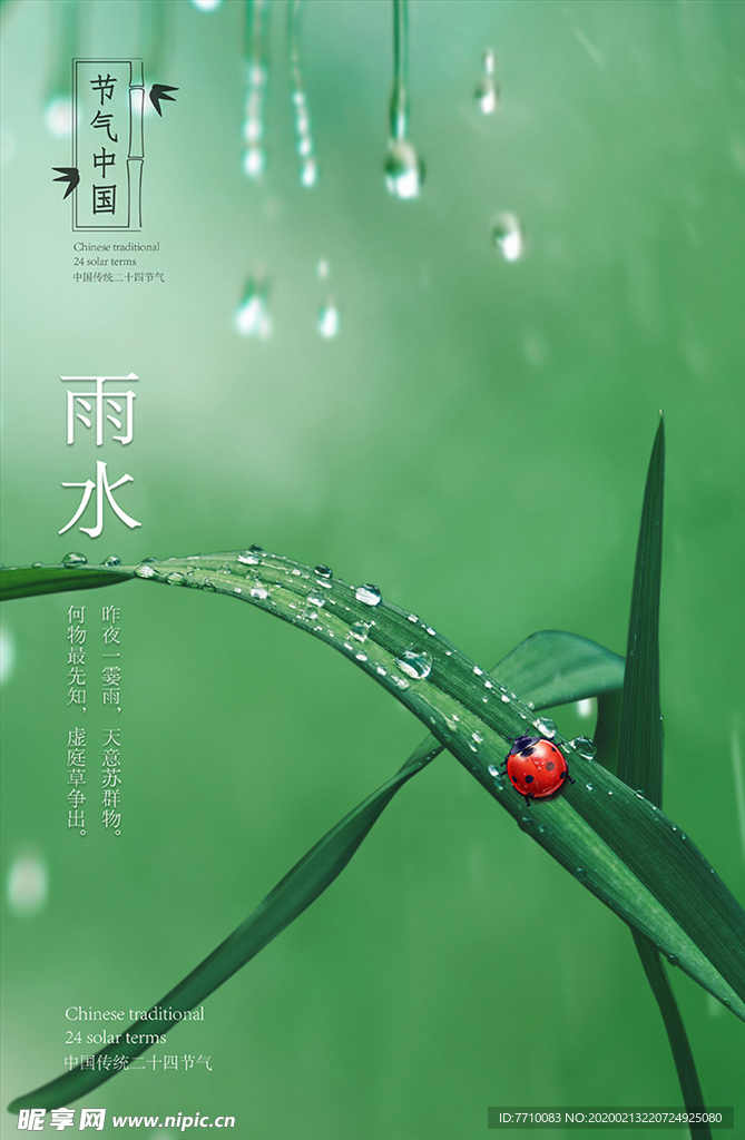雨水节气图片