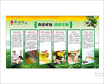 榨油坊展板 油茶 知识宣传