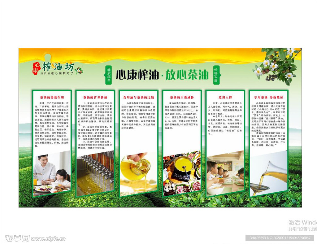 榨油坊展板 油茶 知识宣传