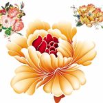 国画牡丹花红花金色花