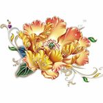 国画牡丹花红花金色花